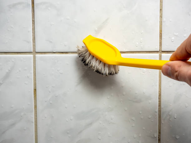 Best Affordable Mold Removal  in Baileys Crossroads, VA