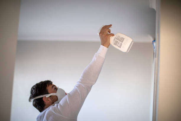 Best Mold Remediation Experts  in Baileys Crossroads, VA