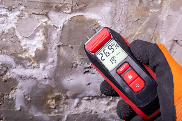 Best Mold Removal and Inspection  in Baileys Crossroads, VA